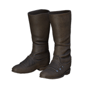 Buttoned Boots