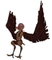 ハーピー